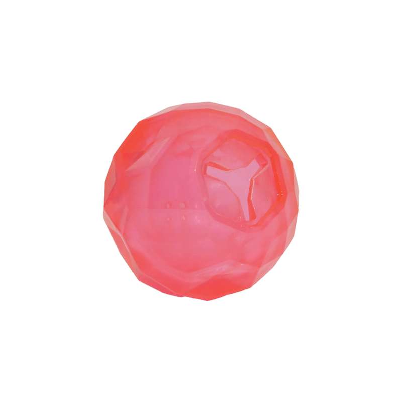 BioSafe Puppy Treat Ball