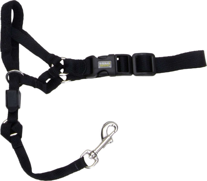 Rosewood Coastal Head Halter