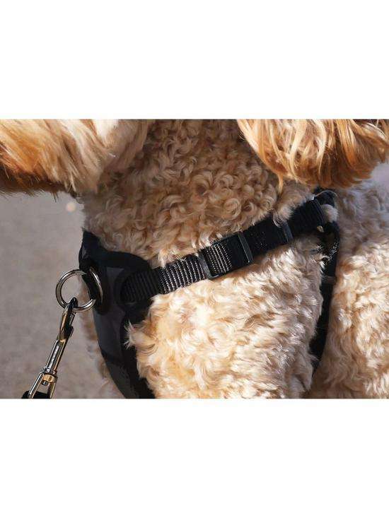 Rosewood Coastal Front-Connect Padded Harness