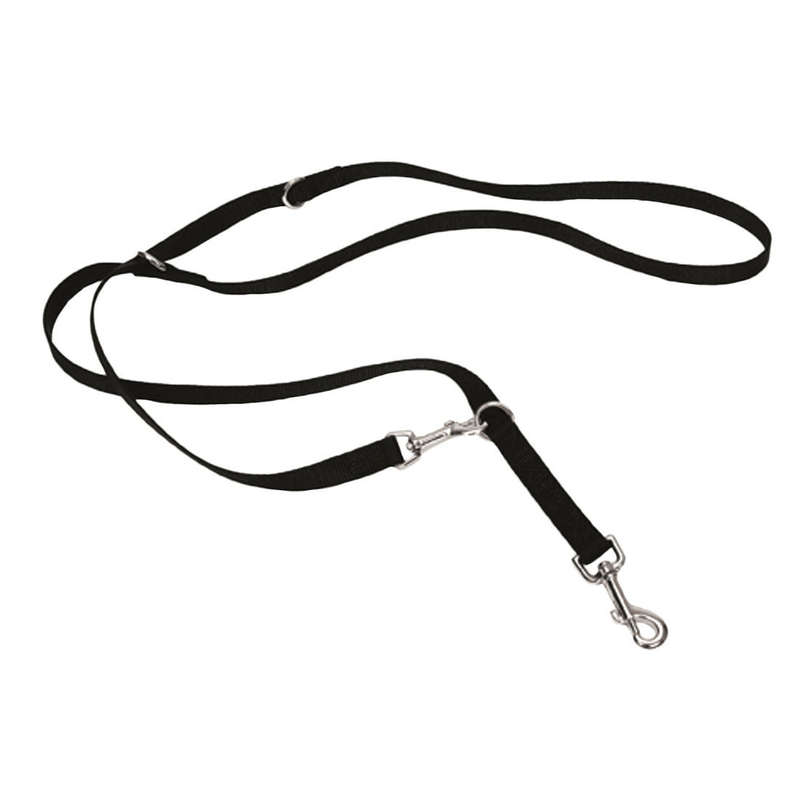 Multi-Function Nylon Dog Lead