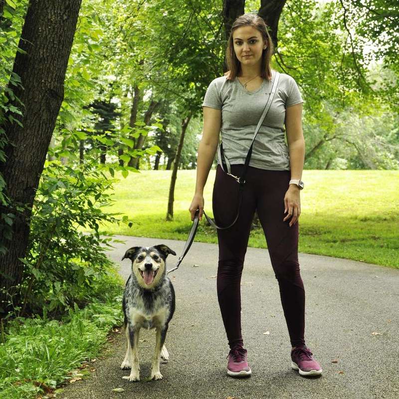 Multi-Function Nylon Dog Lead