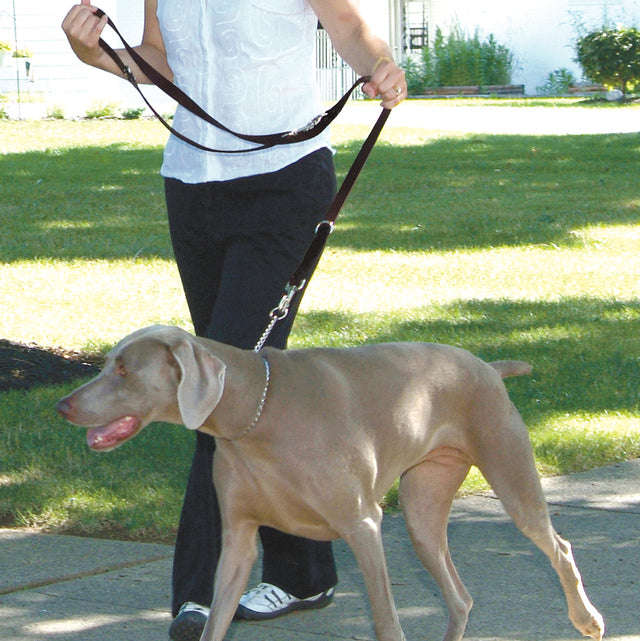 Multi-Function Nylon Dog Lead