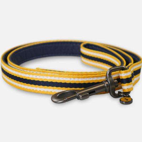 Rosewood Joules Navy Coastal Lead