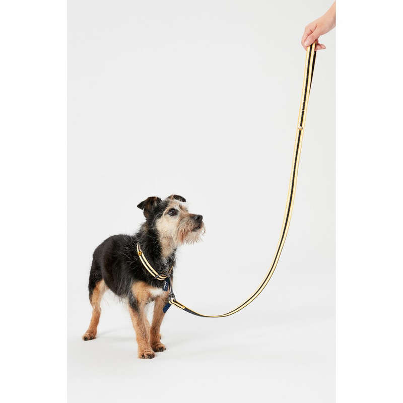 Rosewood Joules Navy Coastal Lead