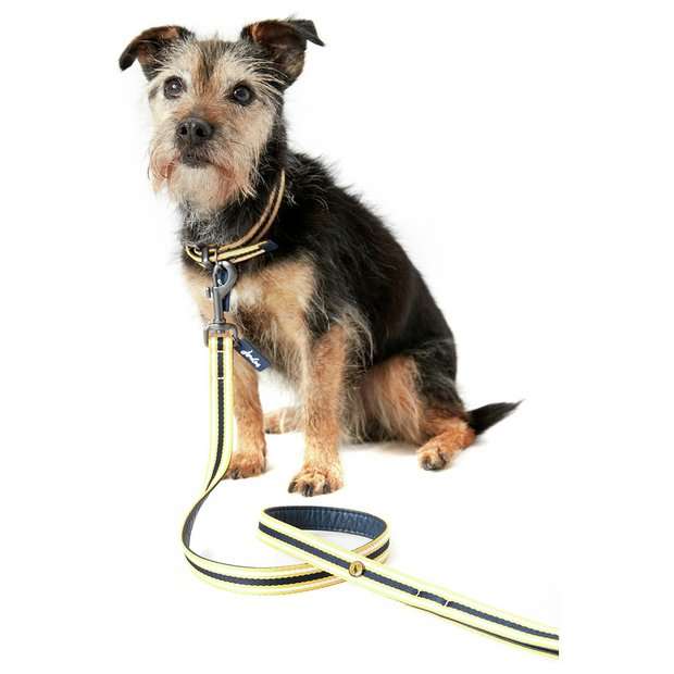 Rosewood Joules Navy Coastal Lead
