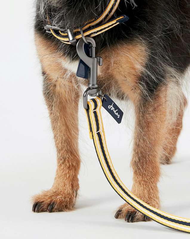 Rosewood Joules Navy Coastal Lead