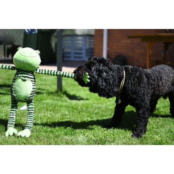 Chubleez Froggie Long Legs