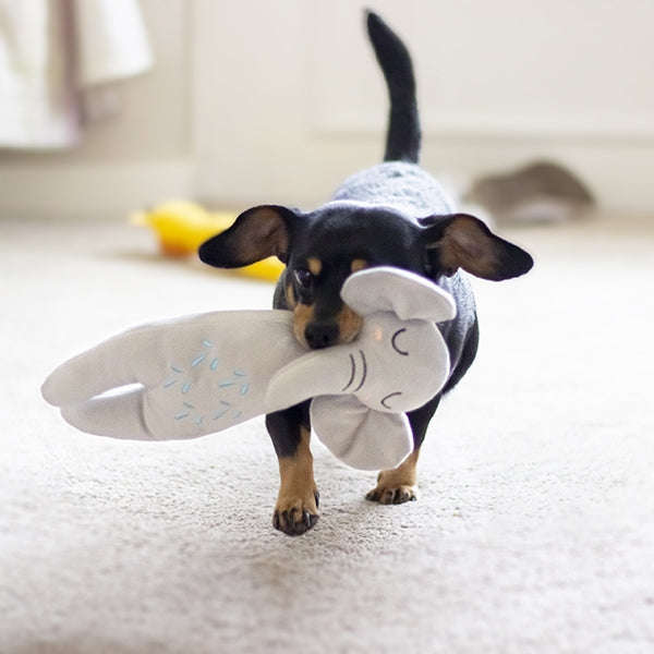 ECO Friendly Elephant