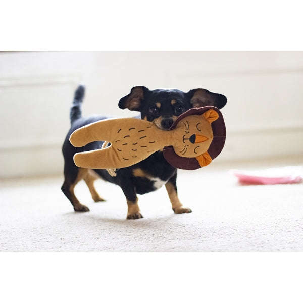 ECO Friendly Lion