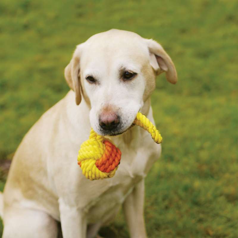 Tough Twist Rubber & Rope Ball Tug (29cm)