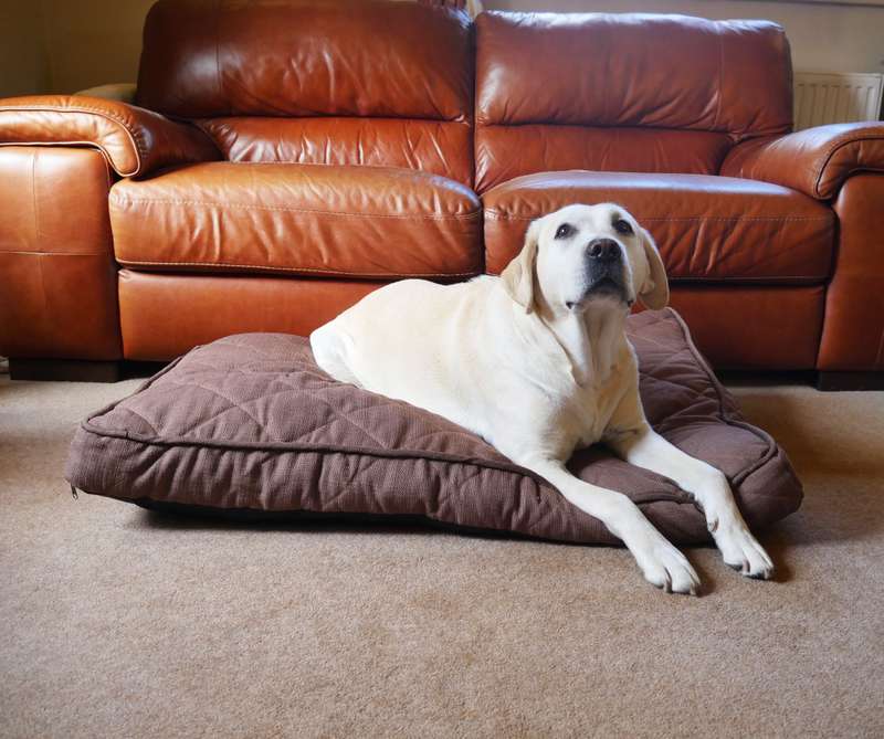 Rosewood Chocolate Tweed Mattress