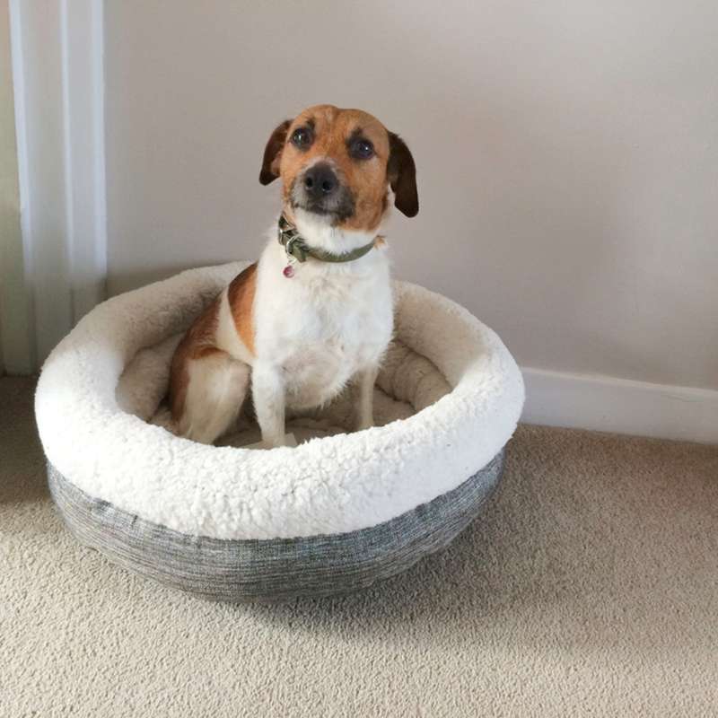 Rosewood Deep Tweed Teddy Bear Round Bed