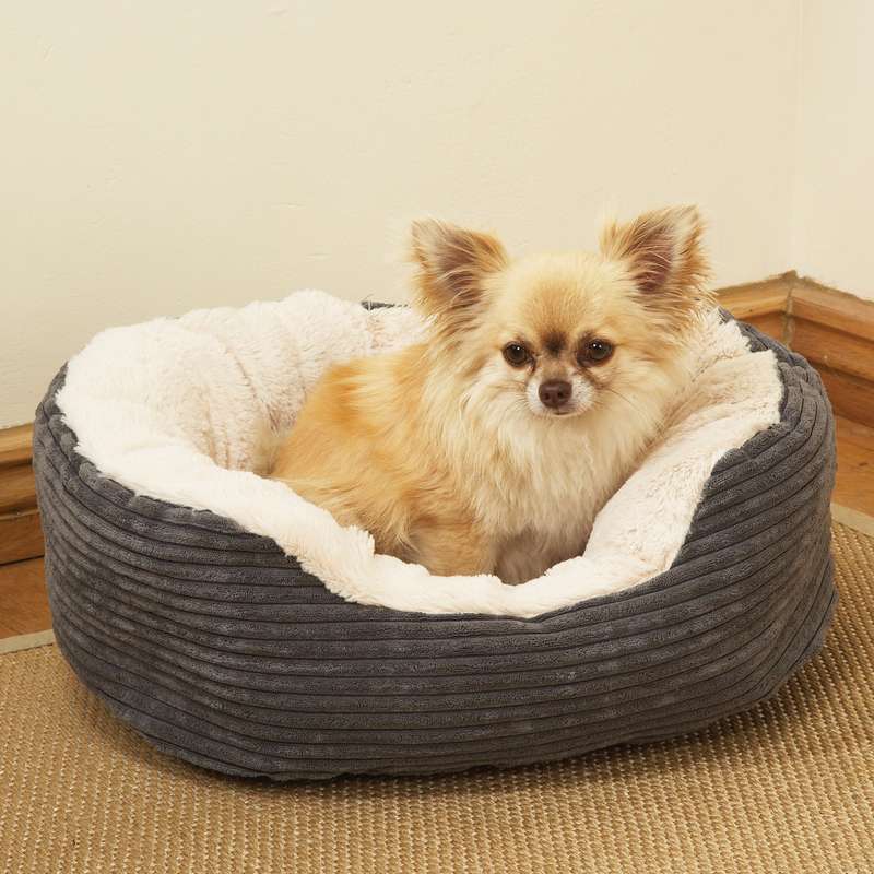 Rosewood Grey Jumbo Cord/Plush Oval Bed
