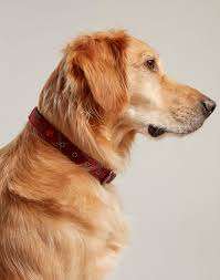 Rosewood Joules Heritage Tweed Leather Dog Collars