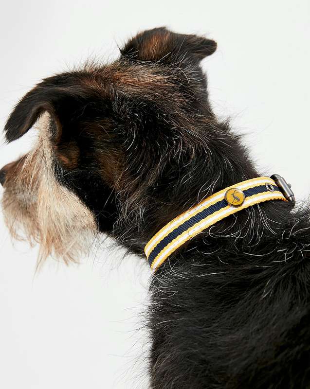 Rosewood Joules Navy Coastal Dog Collars