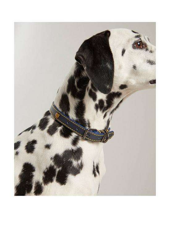 Rosewood Joules Navy Leather Dog Collars