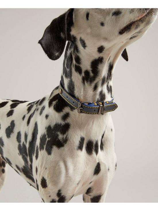 Rosewood Joules Navy Leather Dog Collars