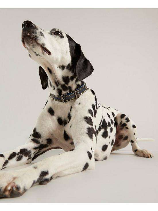 Rosewood Joules Navy Leather Dog Collars