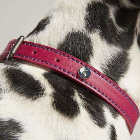 Rosewood Joules Pink Leather Dog Collars