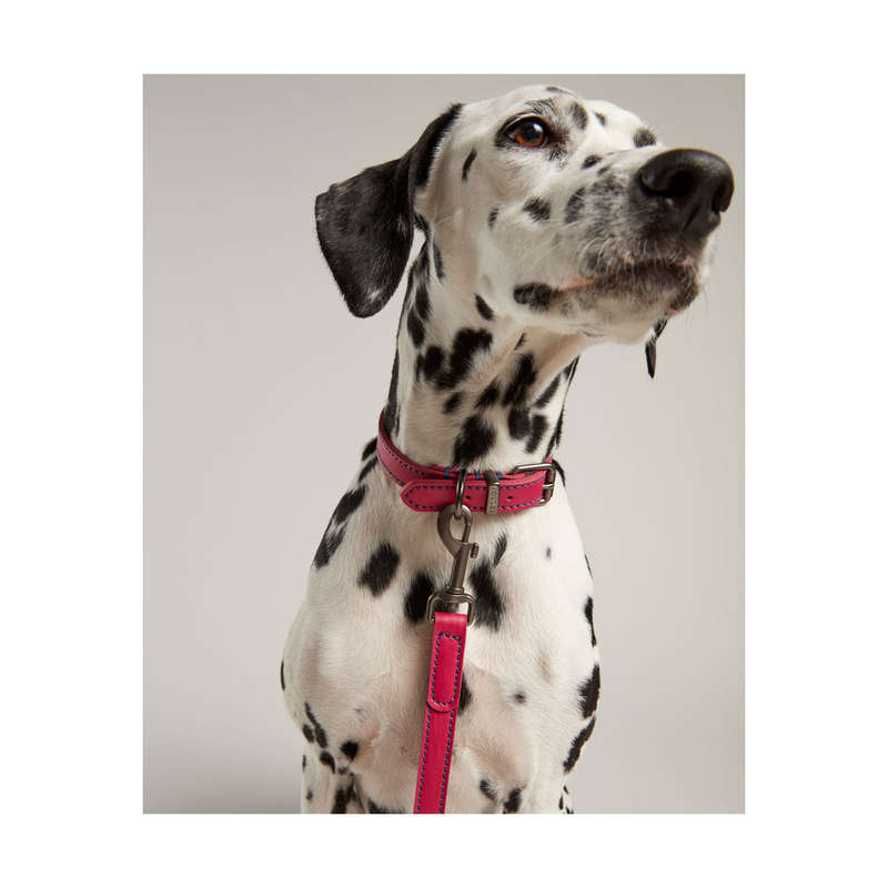Rosewood Joules Pink Leather Dog Collars