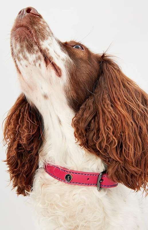 Rosewood Joules Pink Leather Dog Collars