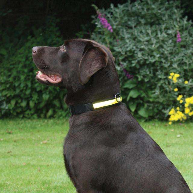 Premium Flashing Collar