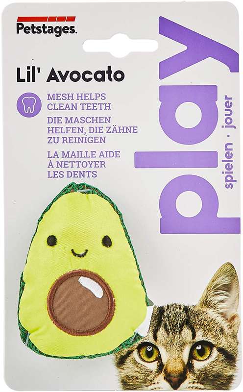 Dental Avo