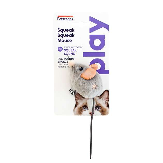 Squeak Squeak Mouse