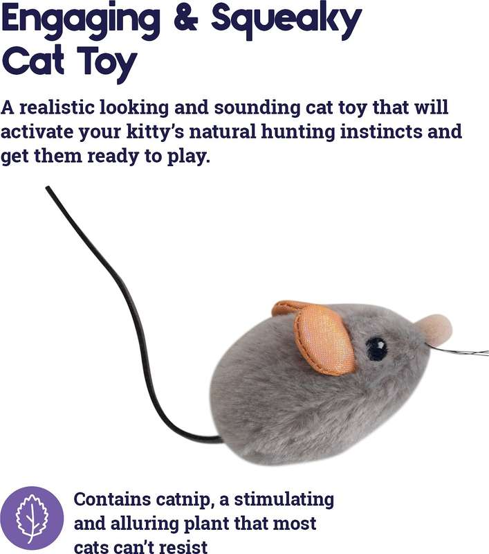 Squeak Squeak Mouse