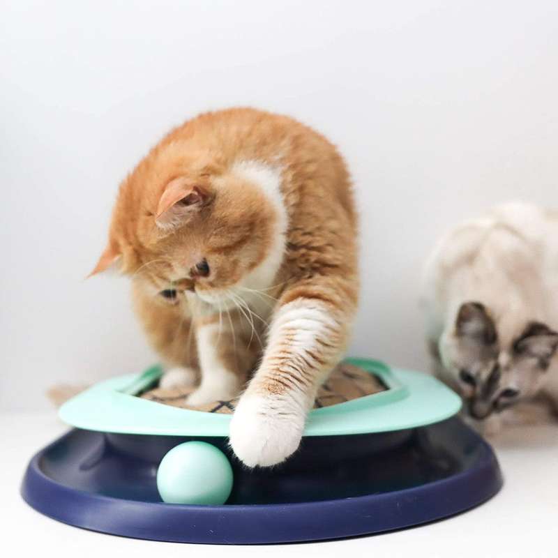 Lay 'n Play Cat Track