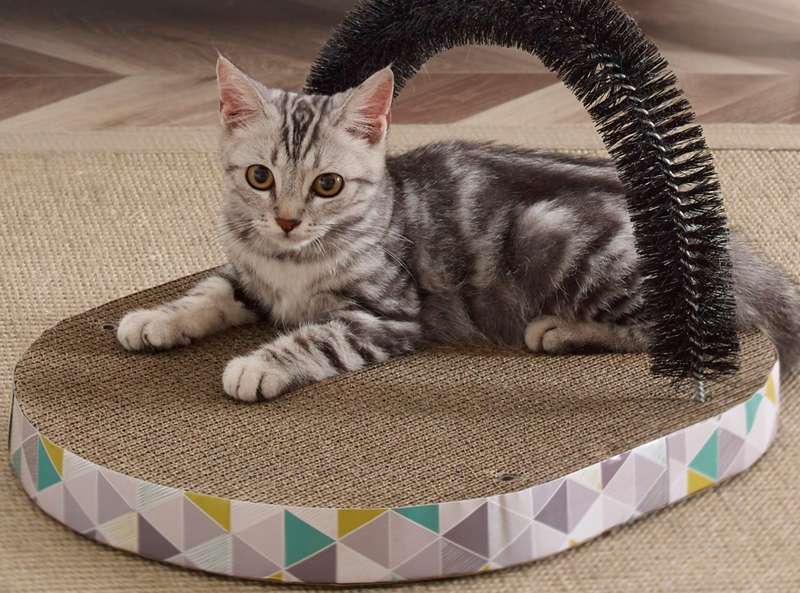 Petstages Scratch and Groom