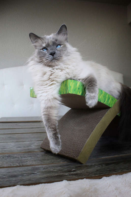 Invironment Easy Life Scratch Hammock