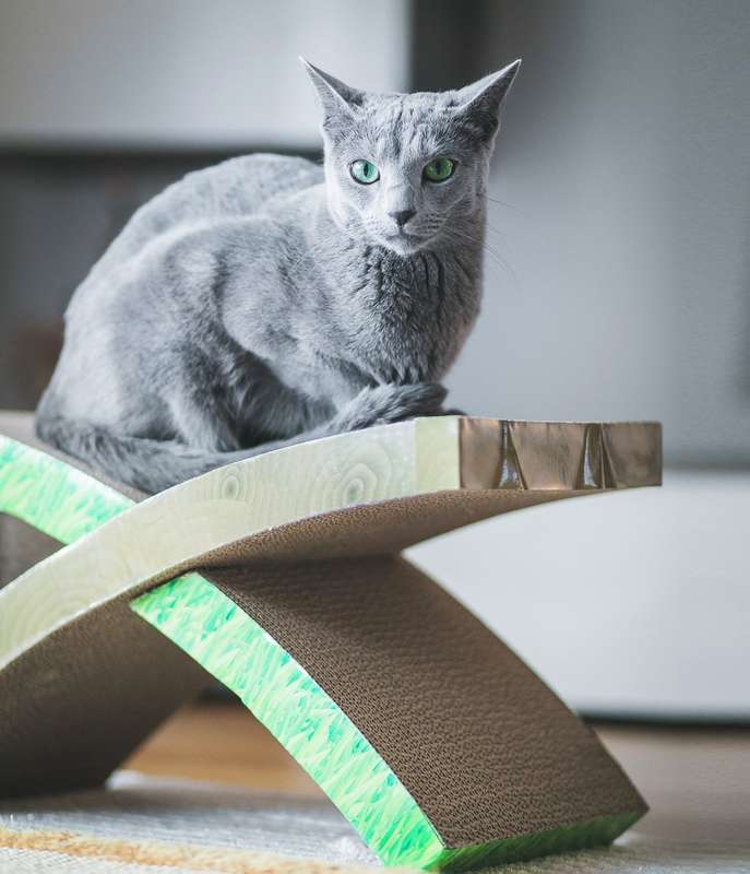 Invironment Easy Life Scratch Hammock