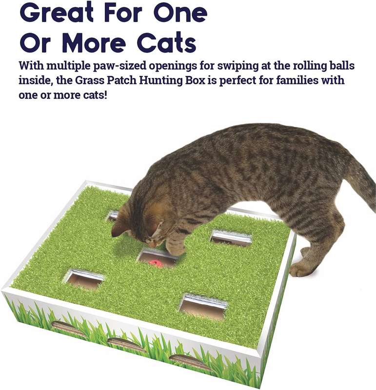 Grass Patch Hunting Box