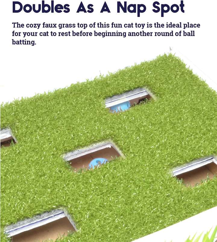 Grass Patch Hunting Box
