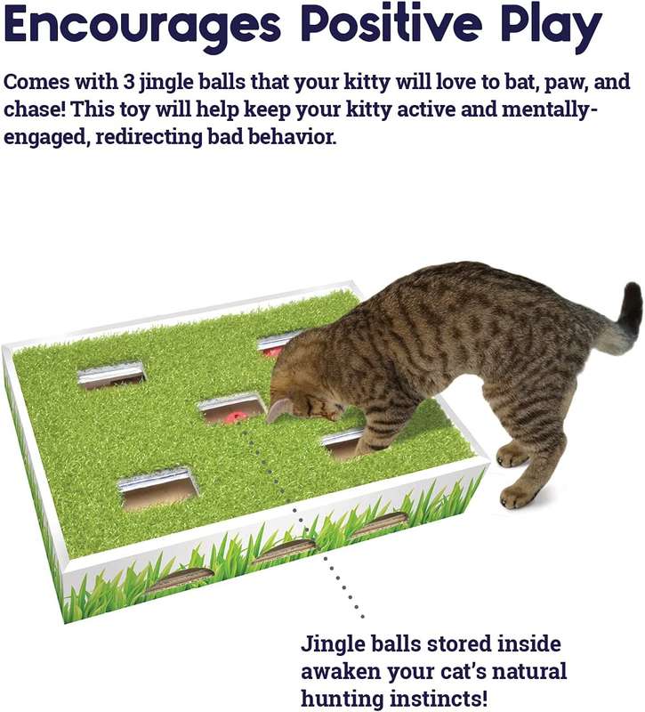Grass Patch Hunting Box