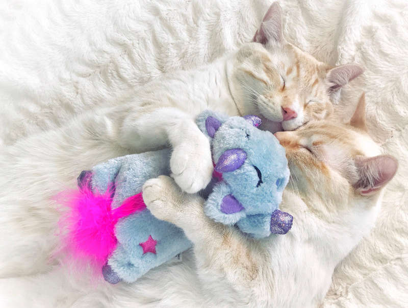Unicorn Cuddle Pal