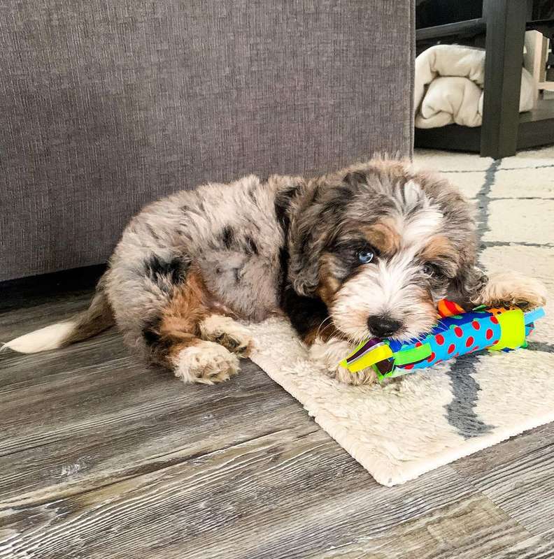 Cool Teething Stick