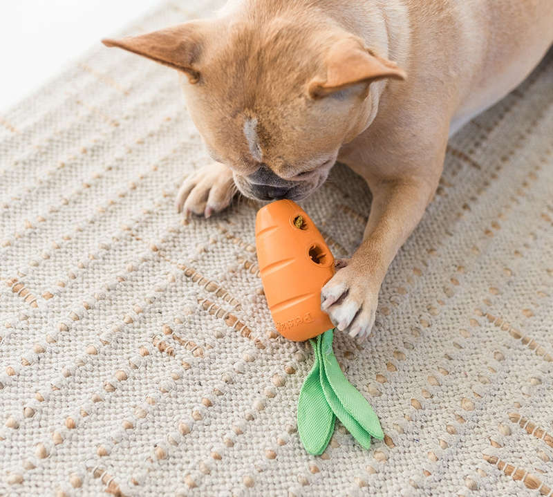Carrot Stuffer