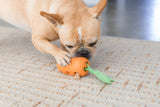 Carrot Stuffer
