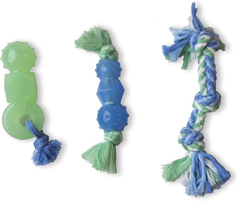 Mini Dental Chewit Pack