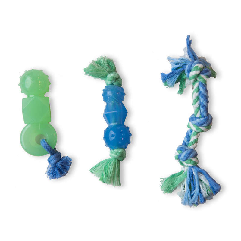 Mini Dental Chewit Pack