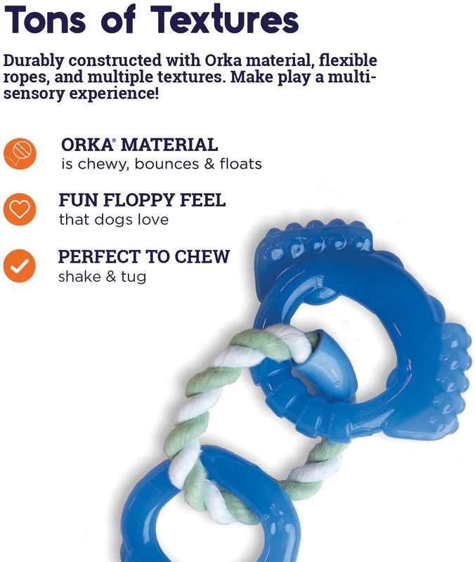 Dentalinks