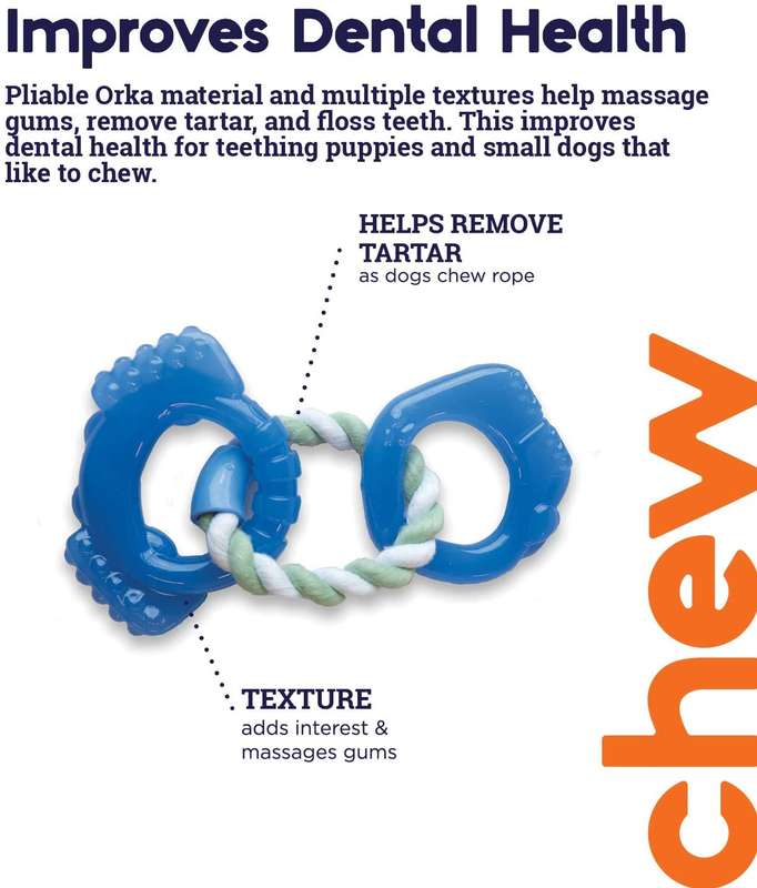 Dentalinks