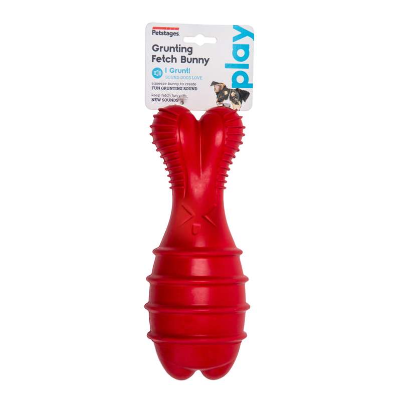 Bunny Grunt Fetch Stick