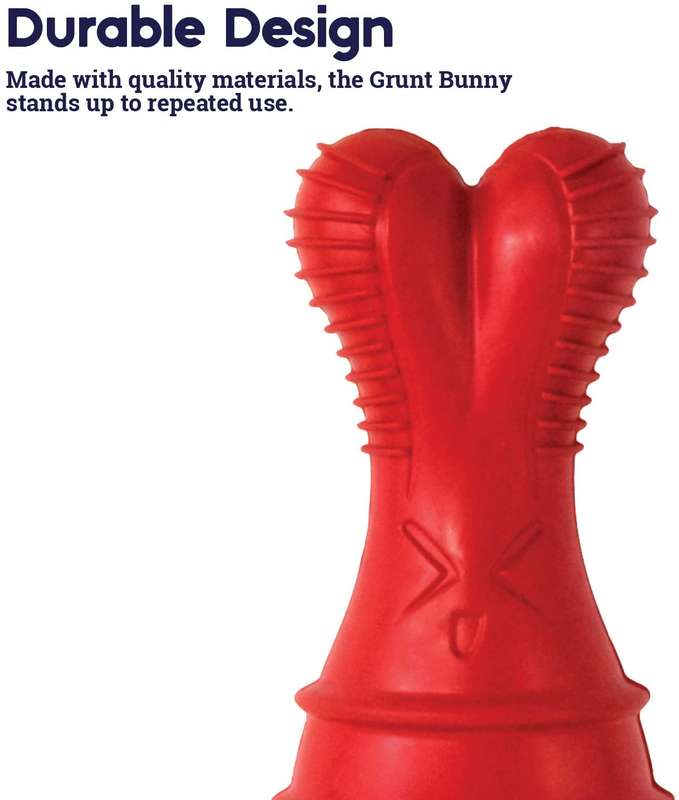 Bunny Grunt Fetch Stick
