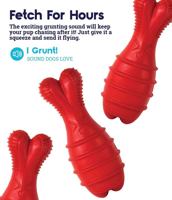 Bunny Grunt Fetch Stick