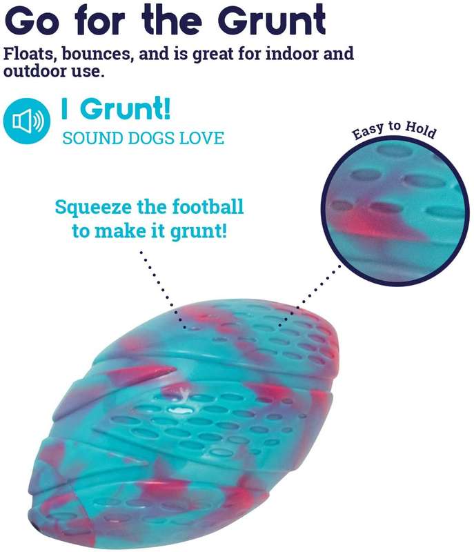 Grunt 'n Punt Football