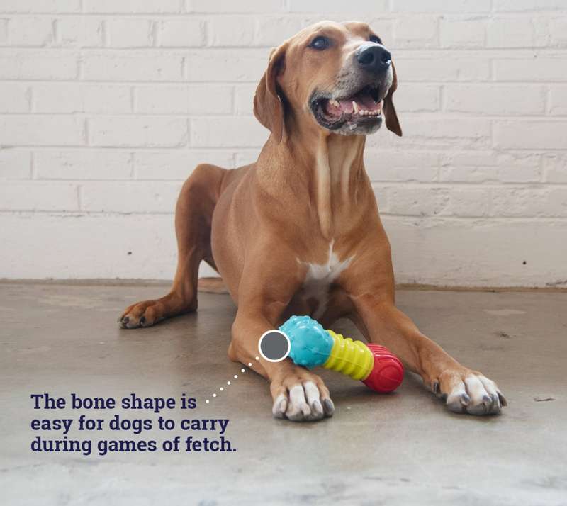 Multi-squeak Bone