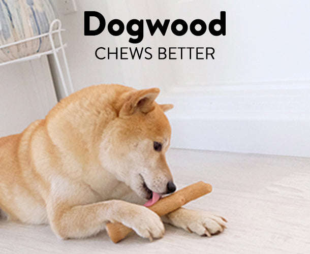Dogwood